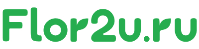 Иконка оффера Flor2u.ru