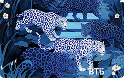 Оффер ВТБ - Дебетовая карта МИР «Синий леопард» - партнерская программа Пампаду Оффер ВТБ - Дебетовая карта МИР «Синий леопард» - партнерская программа Пампаду